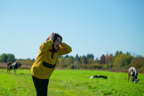 Woman and cows