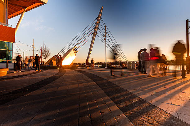 A sleek bridge arcs gracefully against a vivid blue sky, its cables and structure slicing through the air like taut ribbons. The contrast between engineered precision and natural expanse evokes a sense of motion and balancewhere architecture meets atmosphere. It's a moment of quiet grandeur, suspended between earth and sky.