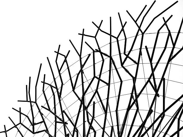 Black branching lines on white background, graphic network of cracks and veins.