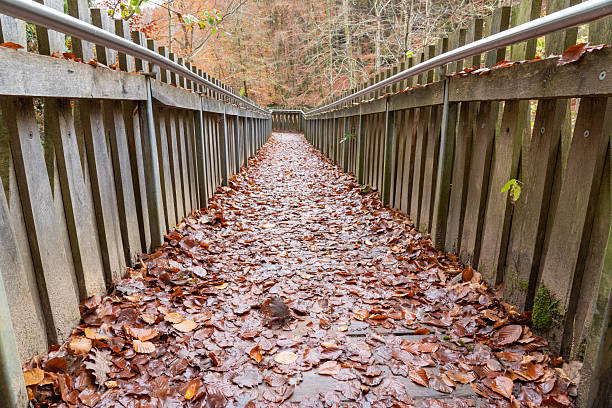 Stairway in Luxembourg's Little Switzerland during autumn whit many leafs