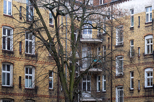 Old brick apartment building facade with windows and balconies, leafless tree branches in urban courtyard. European residential architecture background, real estate and city living concept.
