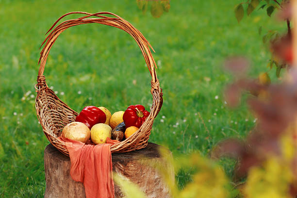 still life woven basket with vegetables garden spring scene rustic cottage core aesthetic wallpaper bright colors