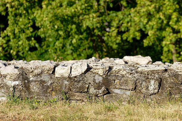 A limestone wall in a moor landscape. Picture from the Baltic Sea island of Oland