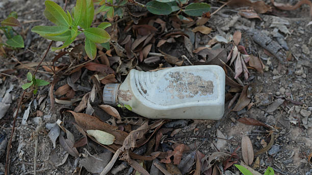 Discarded plastic bottle lies among dry leaves and soil, highlighting environmental pollution and waste management issues