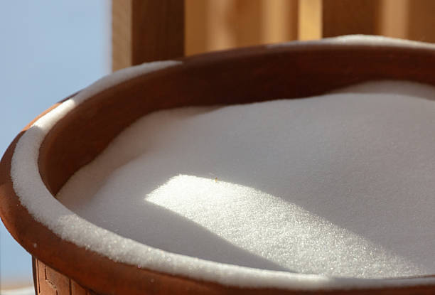Fallen snow.