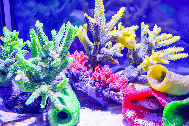 Vibrant underwater world featuring colorful artificial corals and an exotic fish hiding inside a red decoration on the sandy bottom. Intense neon shades of green, yellow, and pink create a dynamic marine aquarium atmosphere for home interior.
