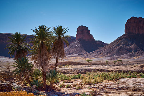 A desert scene with palm trees and a sun in the sky. The sun is shining brightly, casting shadows on the ground. The scene is peaceful and serene, with the palm trees providing a sense of calmness