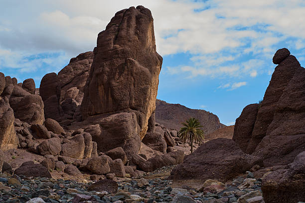 Palm Grove in the Moroccan Desert with Rock Formations