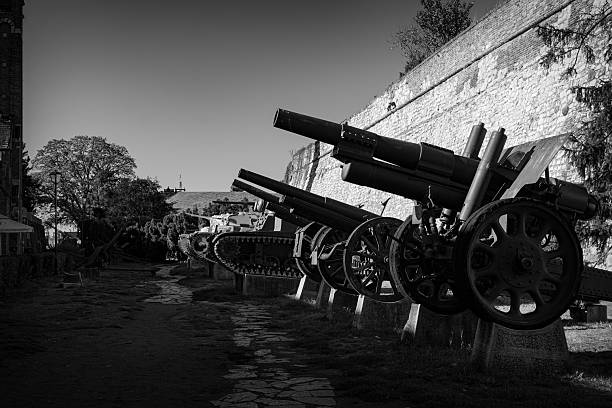 Black and white photograph of historic artillery cannons displayed at Kalemegdan Fortress in Belgrade, Serbia
