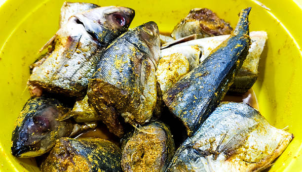 Sea fish food in a basin, photo taken from the front