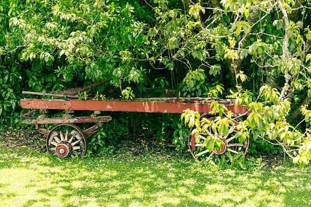 Como, Colorado, USA - February 12, 2024: An old wooden wagon sits in the yard of a home in the historic town of Como, a former coal mining and railway center during the late 1800s.