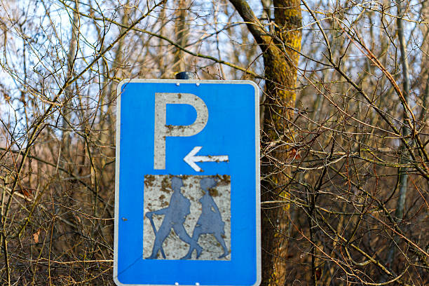 Spain, Palma Majorca, May 02, 2024 -Traffic sign no parking against blue wall