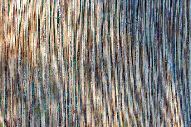 pattern of old bamboo fence as nature background