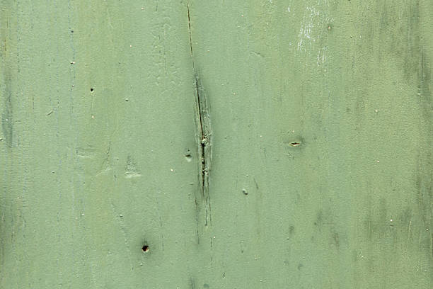 Green turquoise wood texture with peeling paint in Chiang Mai Amphoe Mueang Chiang Mai Thailand in Southeastasia Asia.