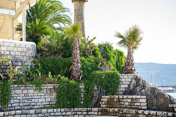 Vertical garden on a sea resort