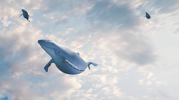 istock 3d render of blue whales flying through vivid sky 2258146840