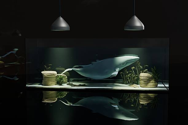 3d render of blue whale in home aquarium