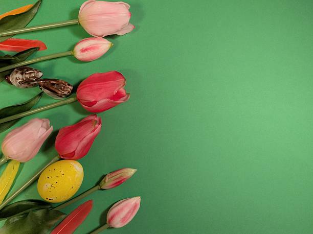 Multi colored hand-painted Easter eggs and tulip flowers on a wooden background with Happy Easter lettering.
