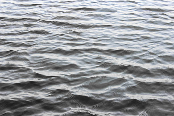 Dark calm water with gentle ripples reflecting natural light. The texture shows numerous small, soft waves rolling across the surface.