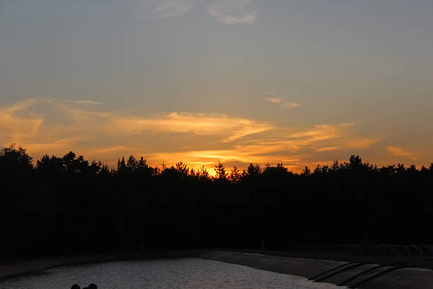 A tranquil sunset over a still pond, showcasing silhouetted trees against a warm orange and yellow sky, with gentle reflections on the water's surface.