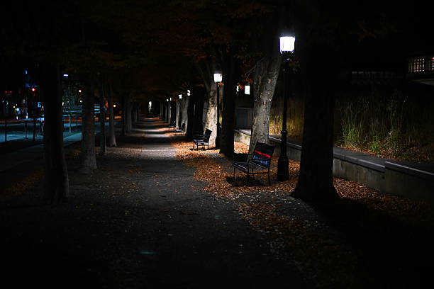 Bench in the park at night. An empty shop in the dark. Details of urban furniture. Wooden slats.