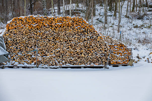 A pile of firewood in winter