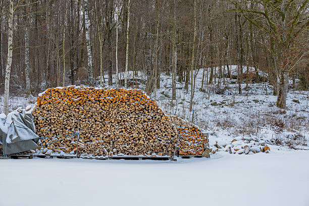 A pile of firewood in winter