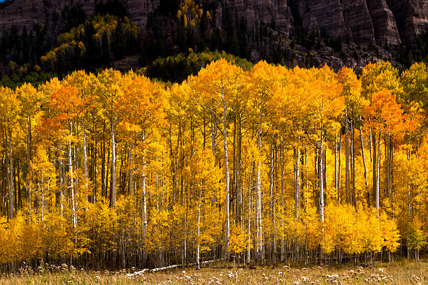 Driving on on roads in the Rocky Mountains in Colorado around Ouray.