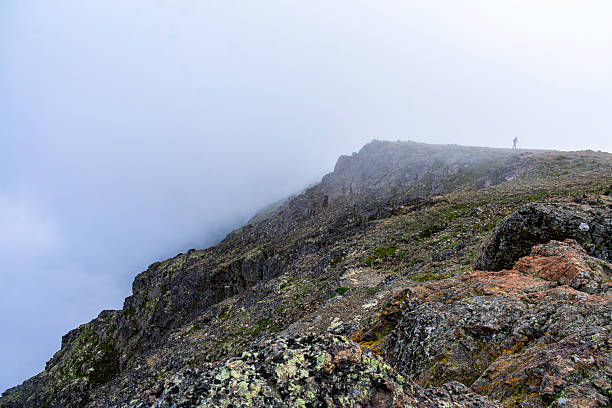 A boulder in the Rocky Mountians at Sunset
