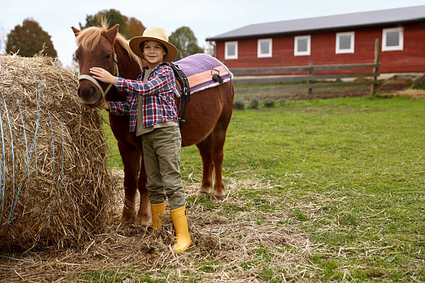 Equine assisted therapy. Boy with beautiful pony near stack of hay outdoors, space for text. Lovely domesticated pet