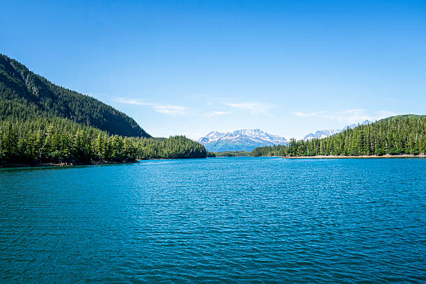 Shot just off the coast of Whittier, AK