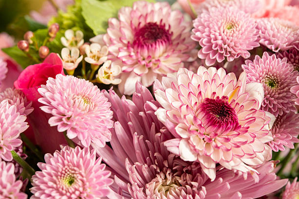 Closeup of a bold pink painted daisy flower against a background of pink.