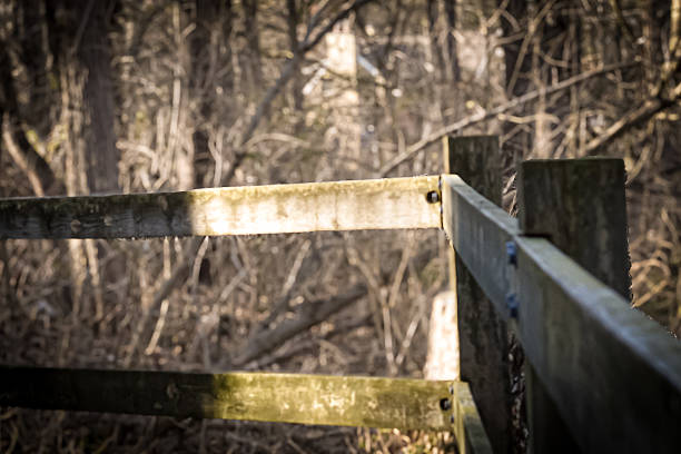 Old wooden fence rusting in the woods