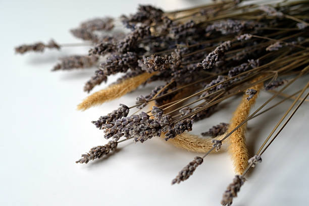 Dried lavender stems and yellow grasses are placed on a white surface. The light from the sun highlights the colors, creating a natural setting. This arrangement can be used for crafts or home decor.