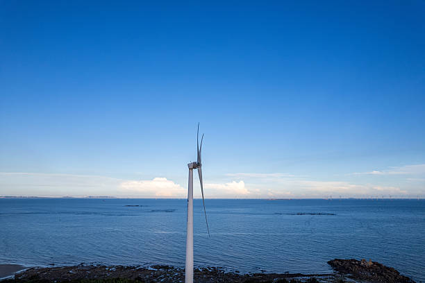 many windmills standing in the sea generate electricity
