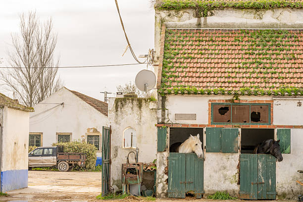 Sibiu, Romania - April 26, 2015: Old  romanian house at The Astra National Museum Complex