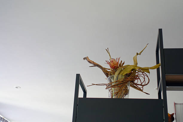 Dried Protea Flower Arrangement on Modern Black Shelf