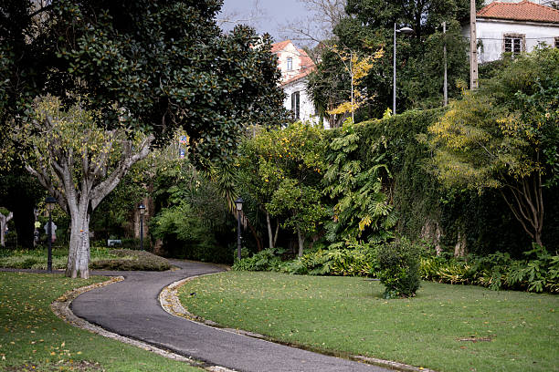 Oeiras Portugal November 21 2025. A curved pedestrian path runs through a landscaped urban park with trees grass and surrounding vegetation.