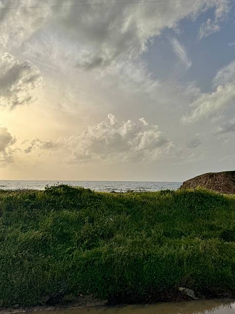 Green coastal scenery with grass and ocean under cloudy sky. Natural outdoor background.