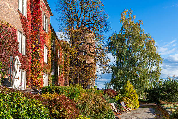 Brick facade wrapped in parthenocissus vine turning red and orange, with garden shrubs and a silver birch tree along a stone path, capturing cozy architecture, seasonal foliage, and landscaped courtyard atmosphere.