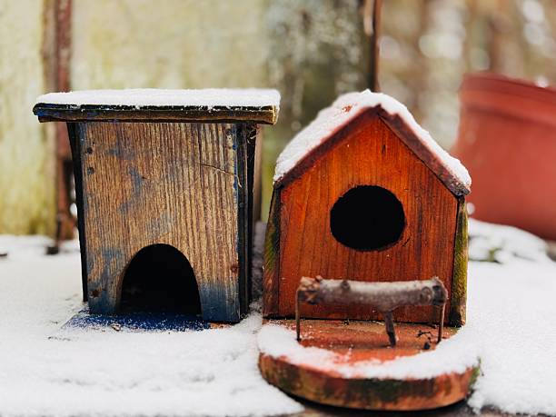 A natural wood birdhouse with an oval-shaped entrance is partially covered in snow.