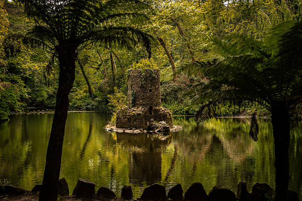 A tranquil view of Vale dos Lagos in Parque da Pena, Sintra, featuring a calm lake surrounded by dense forest, moss-covered rocks, and lush vegetation. A small medieval-style stone tower rises from the water. Soft, diffused light filters through the trees, creating reflections on the lake surface.