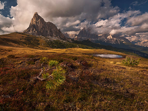 View of Pasa Giau with dramatic Ra Gusela mountain range with rugged peaks and rolling grassland under a cloudy sky. Photographed in medium format.