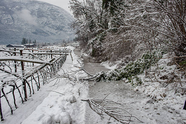 Snowfall in Trentino . Andalo , Molveno , Paganella , Fai della Paganella. Dolomiti di Brenta, cross-country skiing