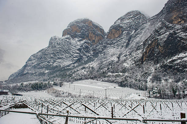 Snowfall in Trentino . Piana Rotaliana , Mezzolombardo e Mezzocorona Andalo , Molveno , Paganella , Fai della Paganella. Dolomiti di Brenta, Vineyard and little lake