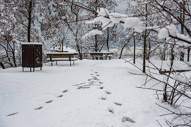 Snowfall in Trentino . Piana Rotaliana , Mezzolombardo e Mezzocorona Andalo , Molveno , Paganella , Fai della Paganella. Dolomiti di Brenta, Vineyard and little lake