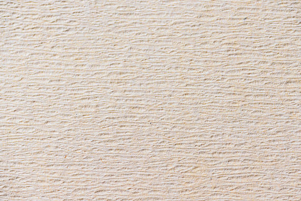 Detailed macro view of a light beige crepe paper texture. The surface features horizontal wavy ridges and fibrous details, ideal for background designs
