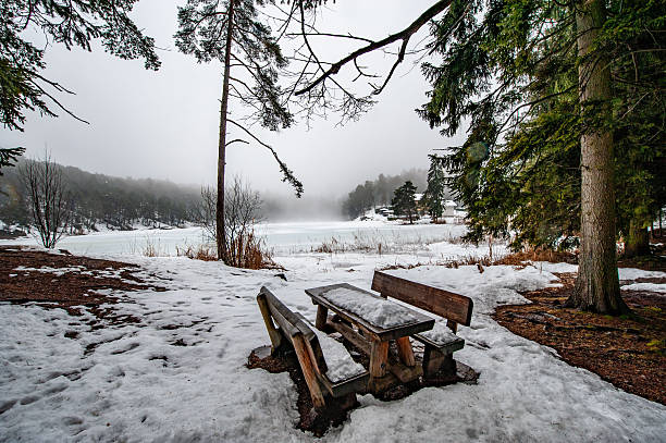 Snowfall in Trentino . Santa Colomba Lake - Lago di Santa Colomba Valsugana