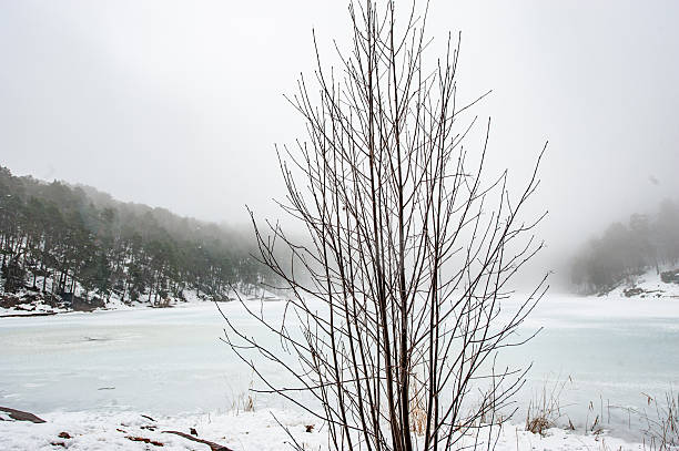 Snowfall in Trentino . Santa Colomba Lake - Lago di Santa Colomba Valsugana