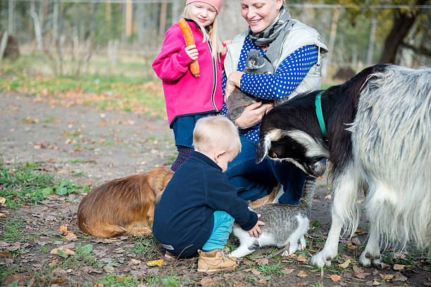 Horizontal image showing a middle aged woman watching children gently touch a rabbit while goats stand nearby. Soft daylight and autumn colors create a warm educational scene.